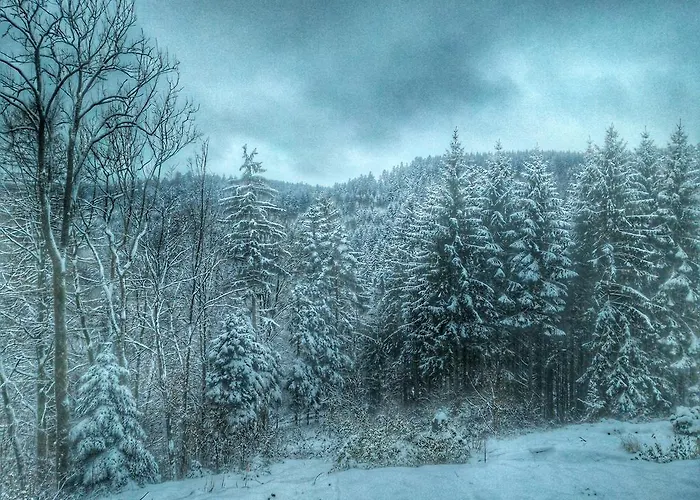 Appolusbratadis 1-4 Personnes Apartmán Plombières-les-Bains