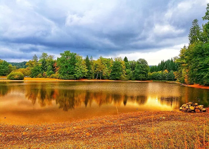 Appolusbratadis 1-4 Personnes * Plombières-les-Bains